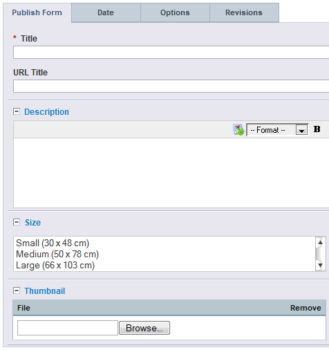 Screenshot of the publishing form for a store entry in the ExpressionEngine control panel